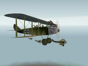 DFW C V patch