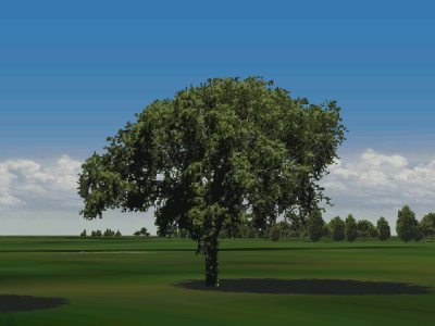 Elm tree for European Air War