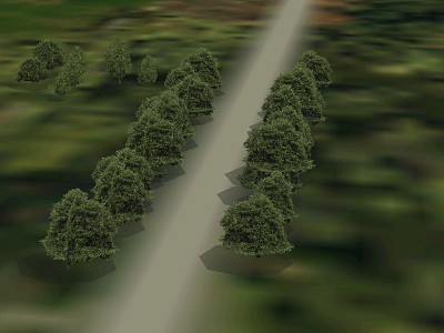 Row of trees for European Air War